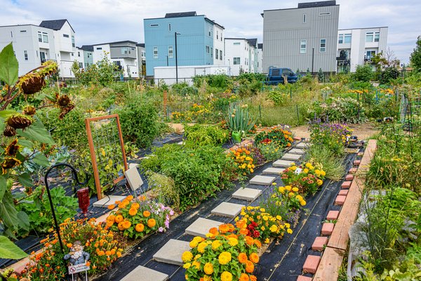 Comment organiser un jardin communautaire dans un espace urbain partagé ?